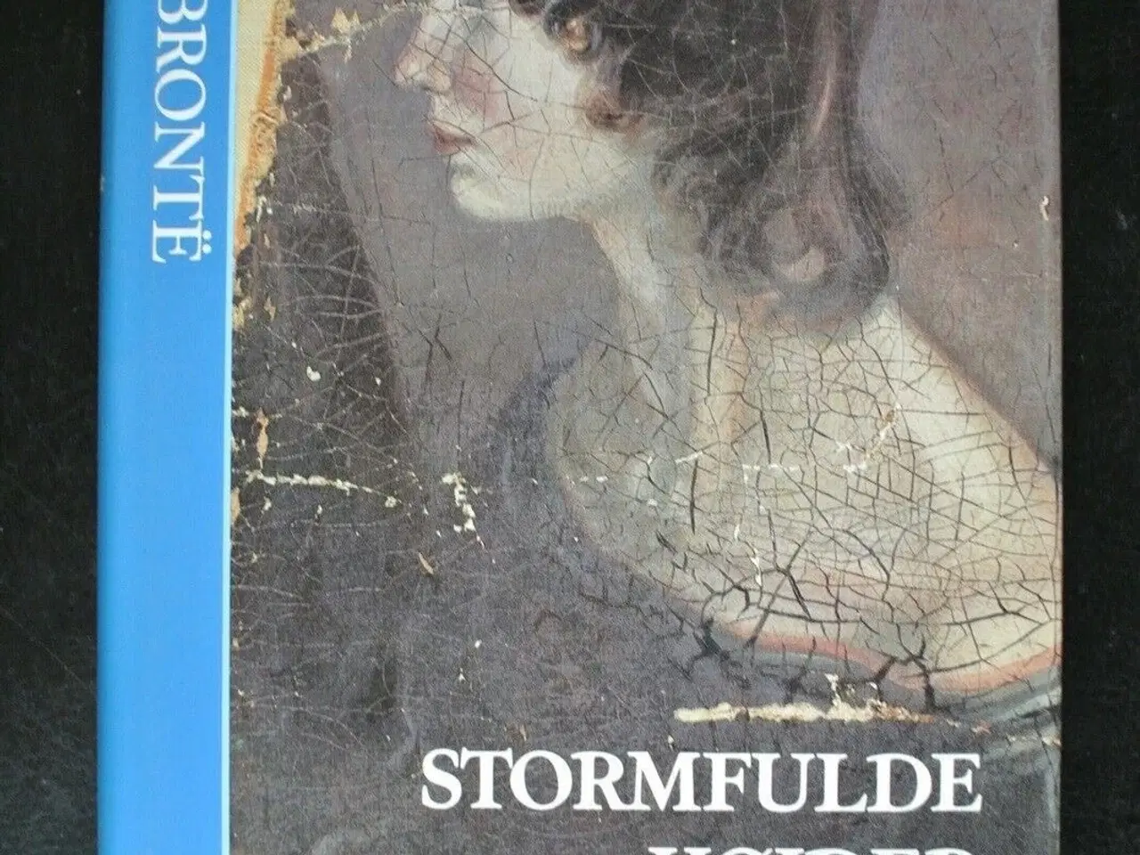 Billede 1 - stormfulde højder, af emily bronte, genre: roman