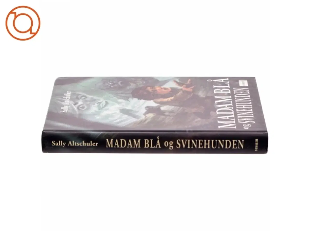 Billede 2 - Madam Blå og Svinehunden af Sally Altschuler (Bog)