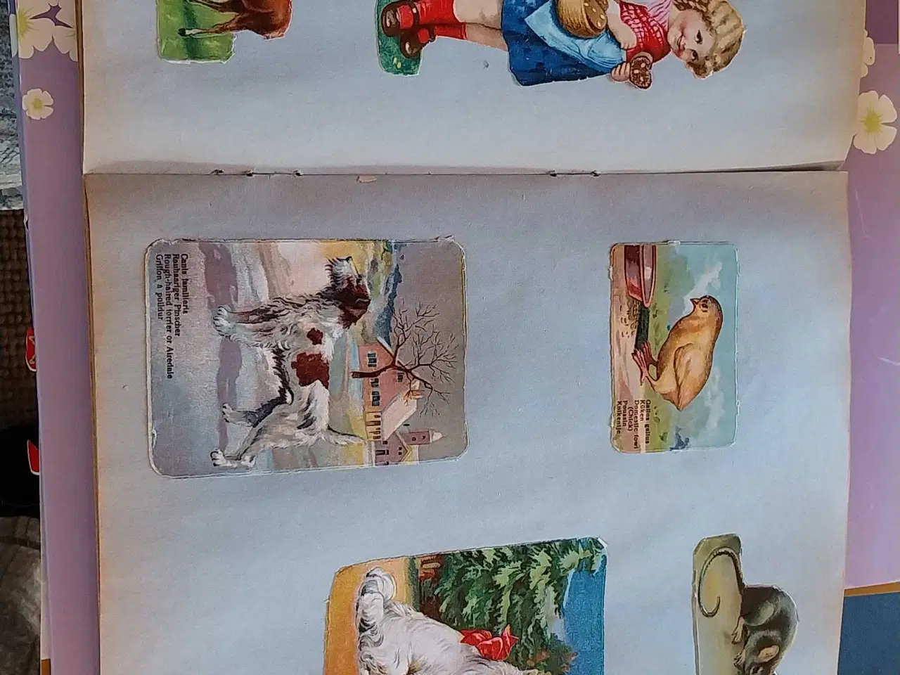 Billede 2 - Glansbilleder gamle og nye glansbilleder 