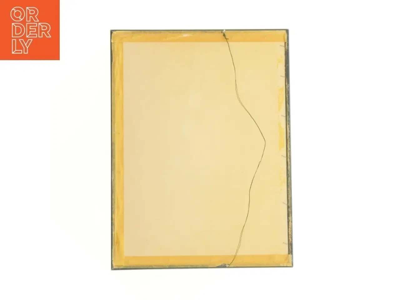 Billede 4 - Indrammet botanisk plakat (str. 40 x 30,5 cm)