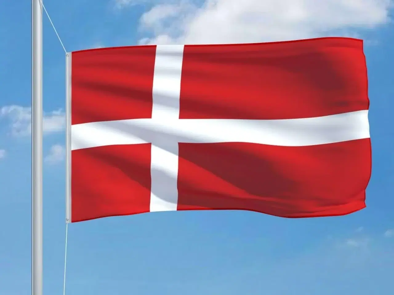 Billede 3 - Det danske flag 90x150 cm