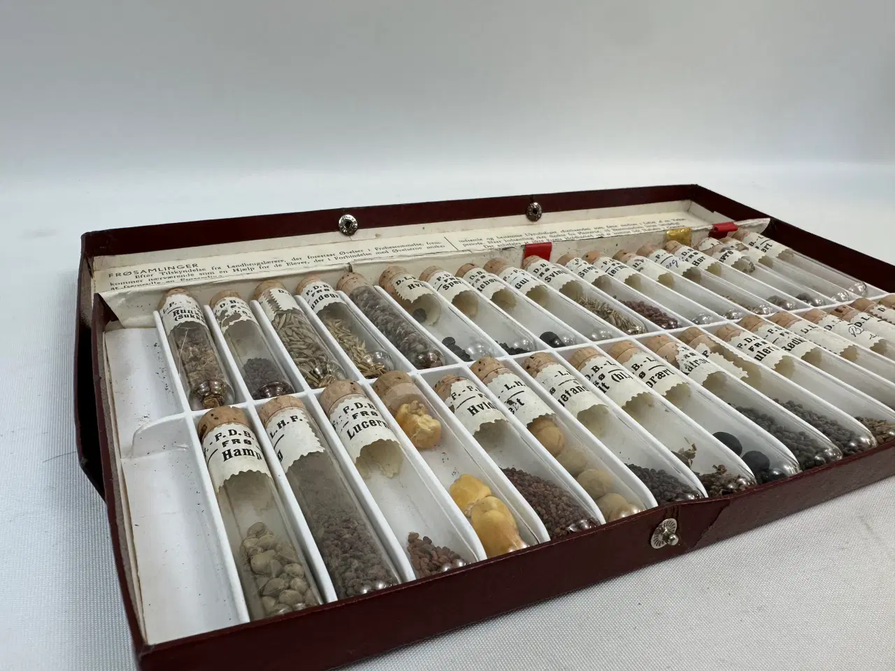 Billede 9 - Ældre frøsamling i 36 cylindere 