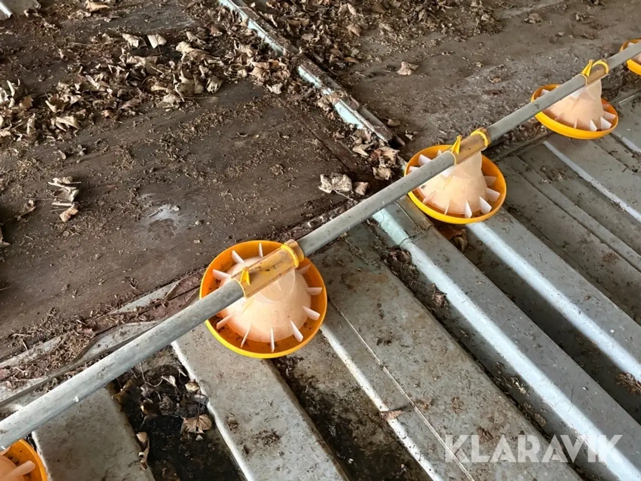 Billede 11 - Fodersystem Landmeco til høns