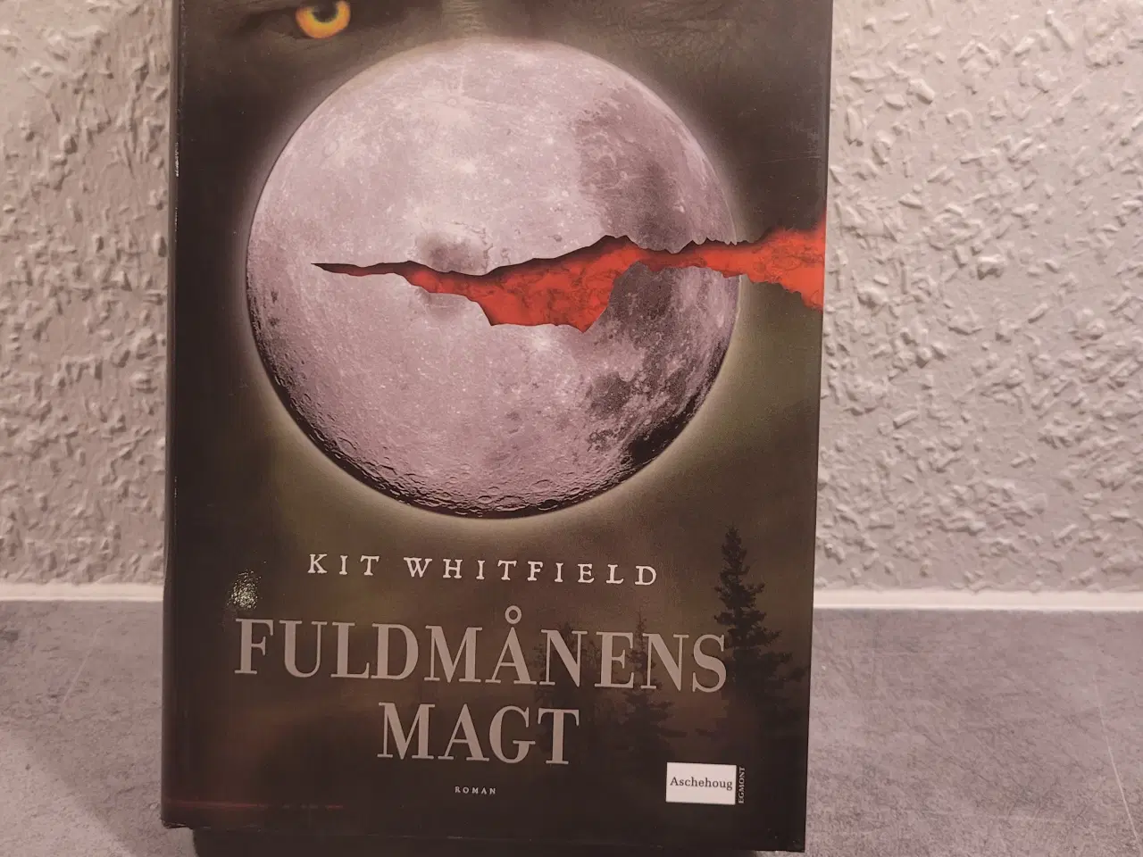 Billede 1 - Fuldmånens Magt 