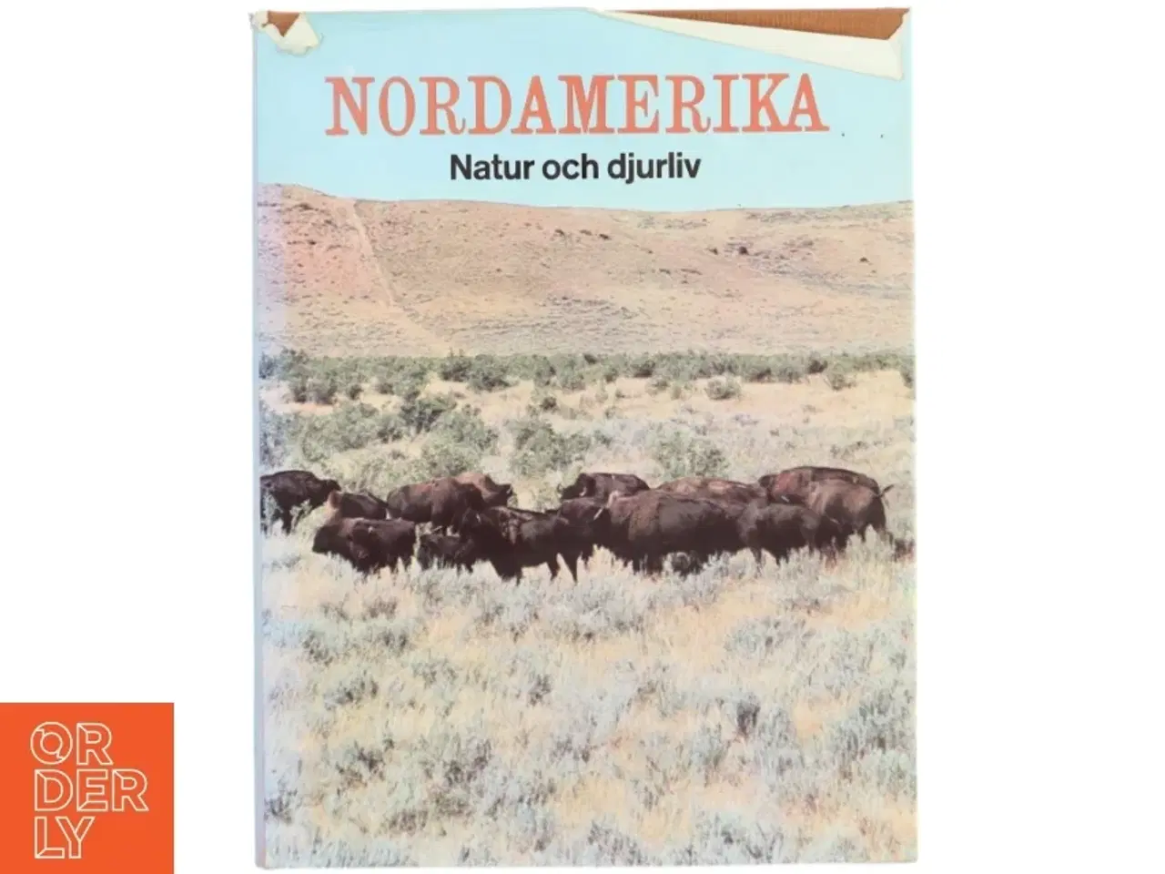 Billede 1 - Bog om Nordamerikas natur og dyreliv fra Life