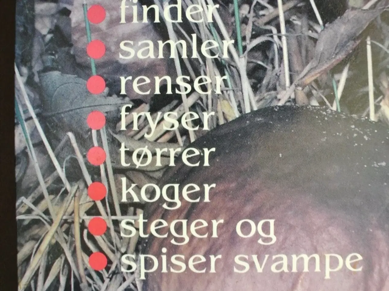 Billede 4 - gode spisesvampe, af morten og bodil lange, emne: 