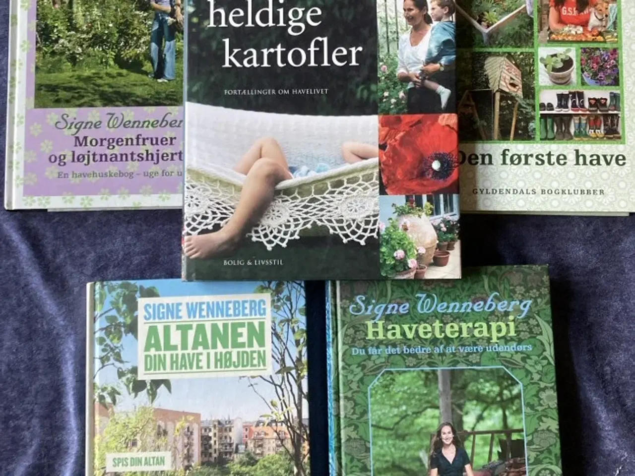 Billede 1 - Bøger af Signe Wenneberg - se pris på hver