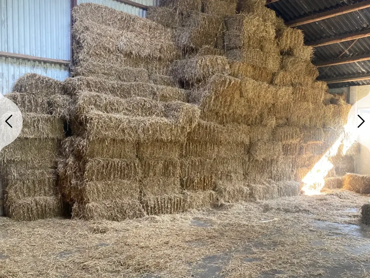 Billede 2 - Vårbyghalm