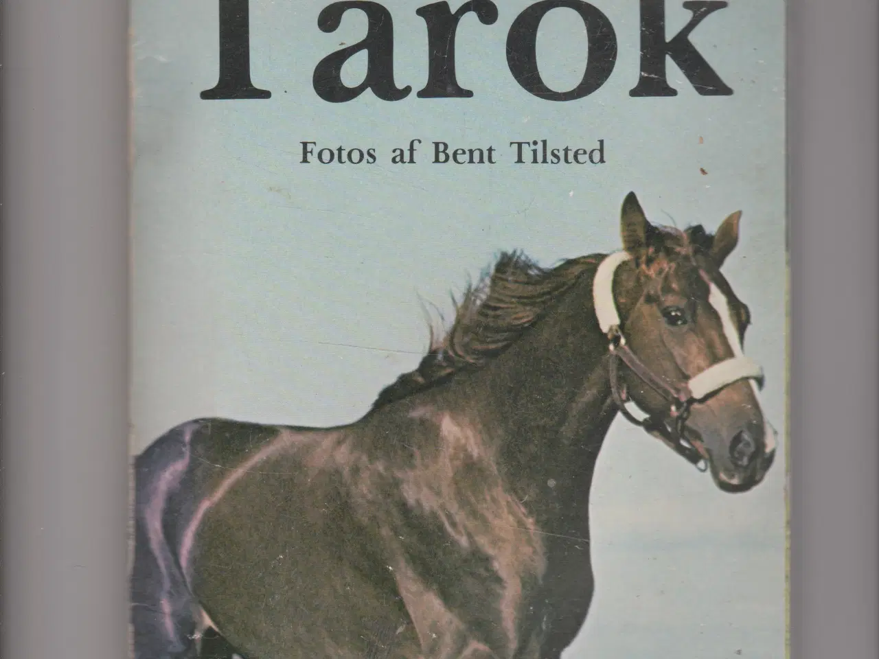 Billede 1 - Tarok