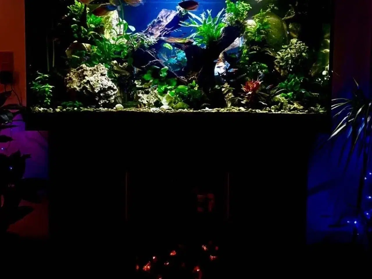 Billede 1 - Akvarie Juwel Rio 400