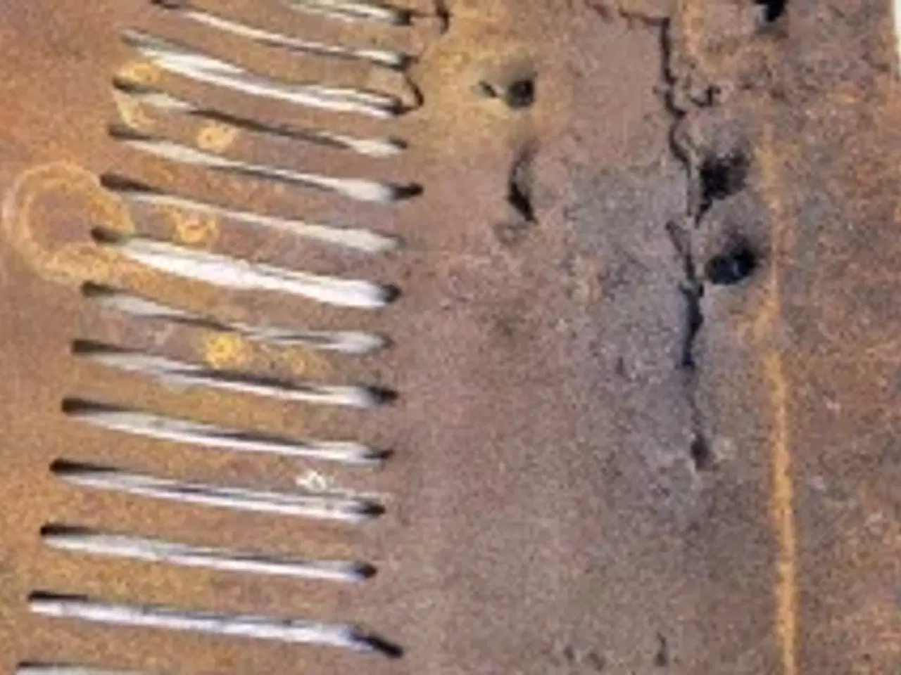 Billede 9 - Case 1680 Beskyttelseskærm 1347205C1