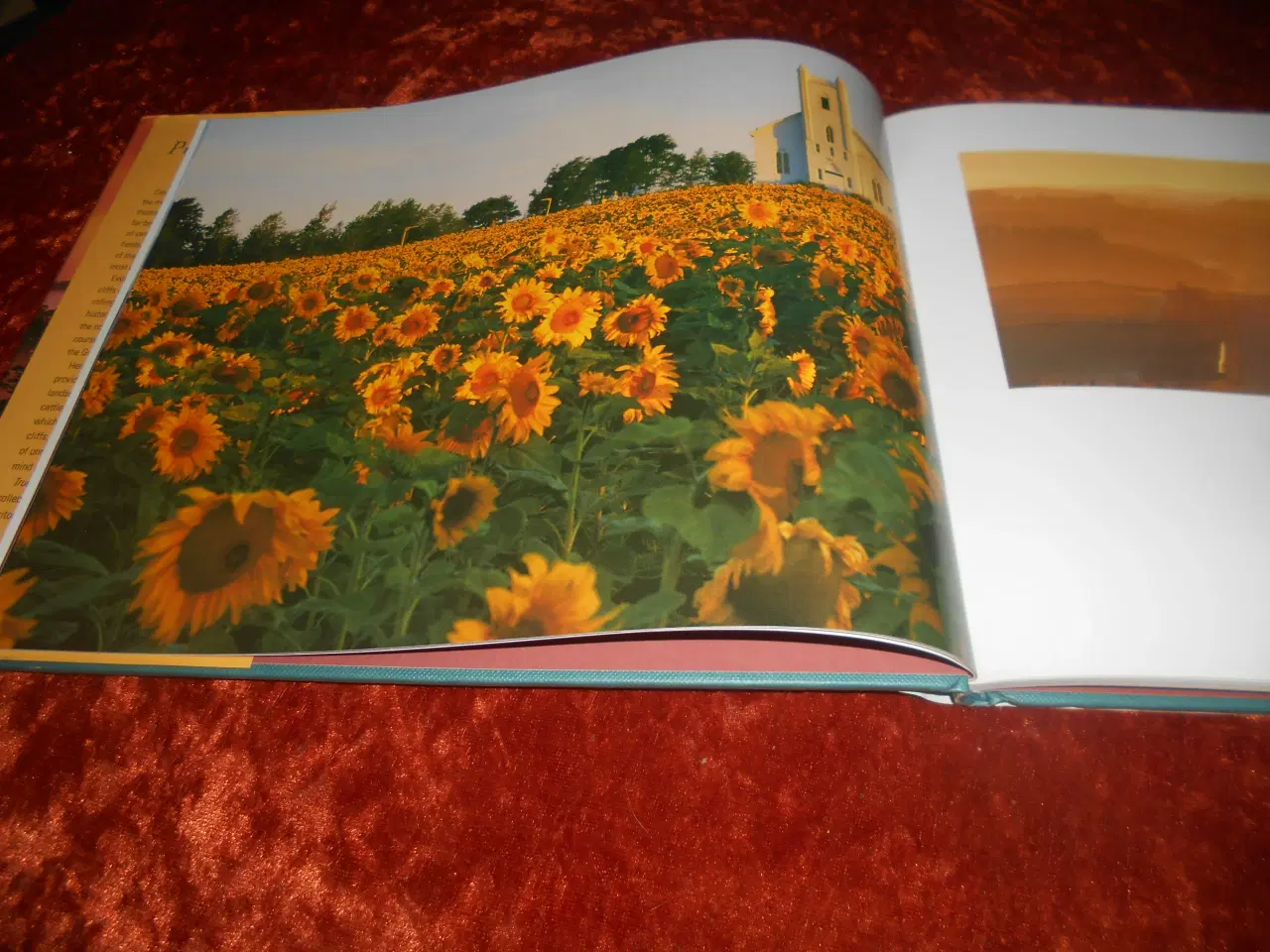 Billede 4 - Prince Edward Island, True Colours, Wayne Barrett