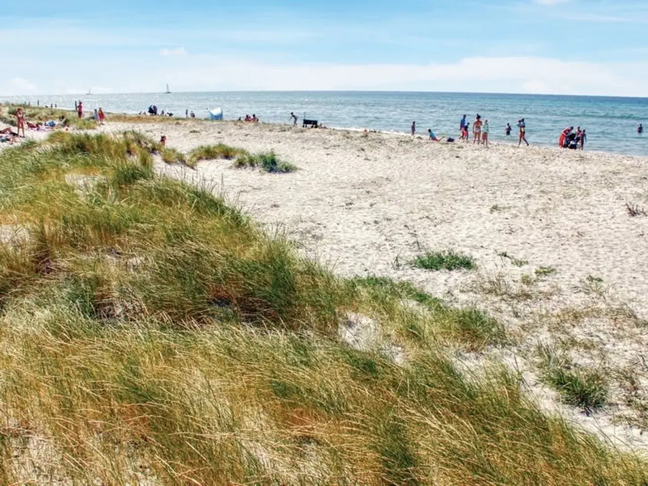 Billede 15 - Sommerhus der sænker pulsen