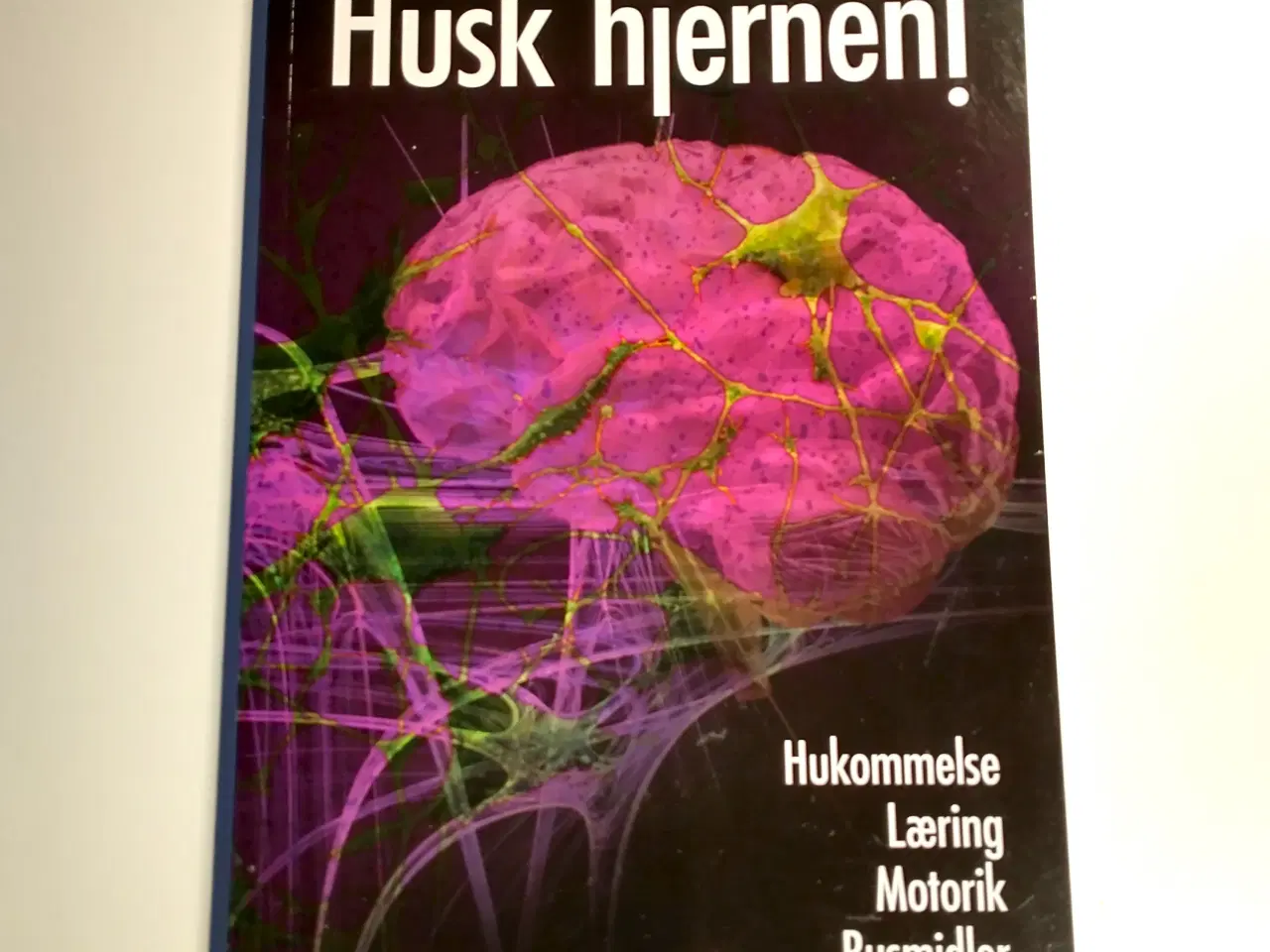 Billede 1 - Husk hjernen! - hukommelse, læring, motorik, rusmi