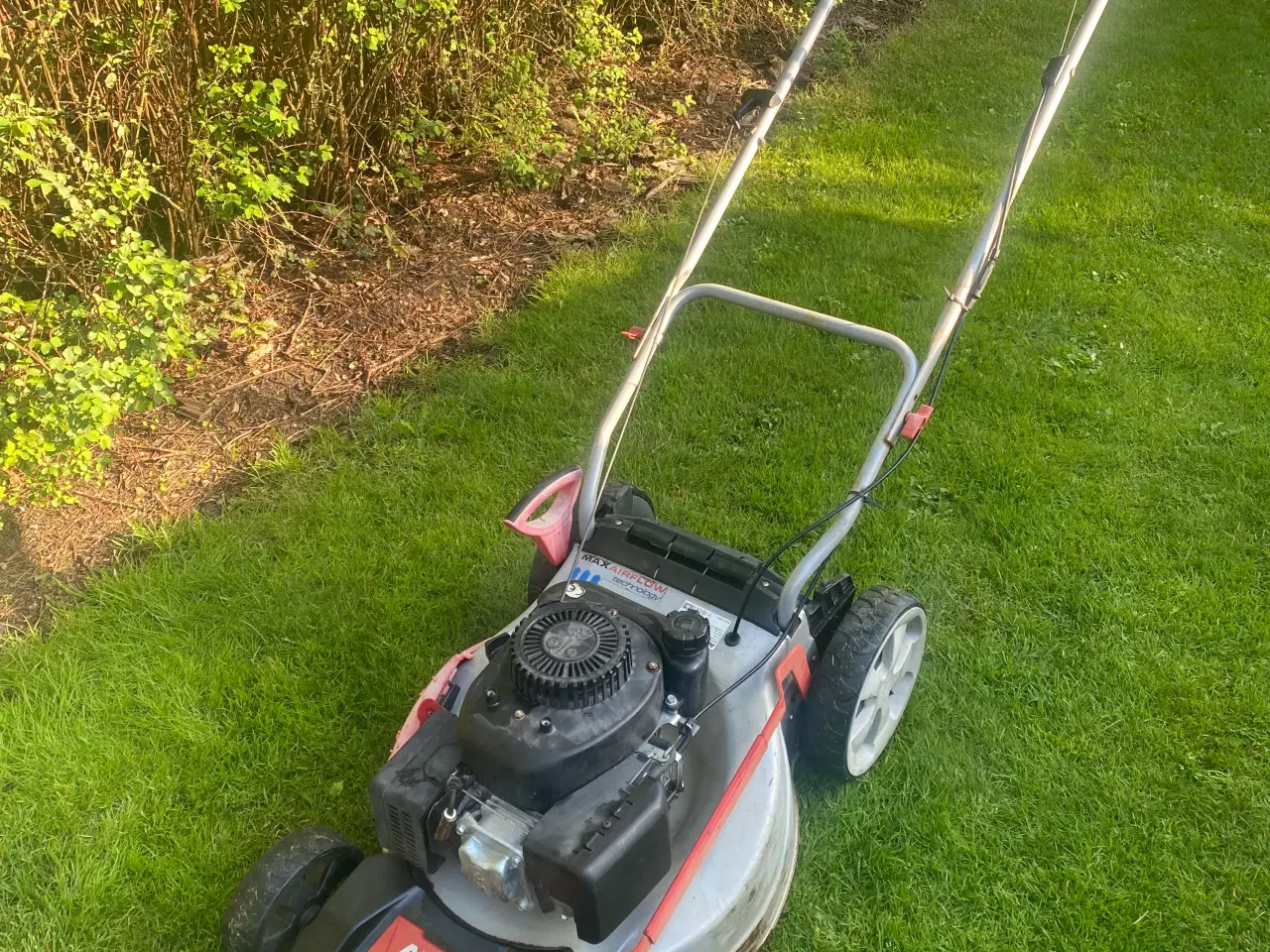 Billede 12 - Rotor plæneklipper 