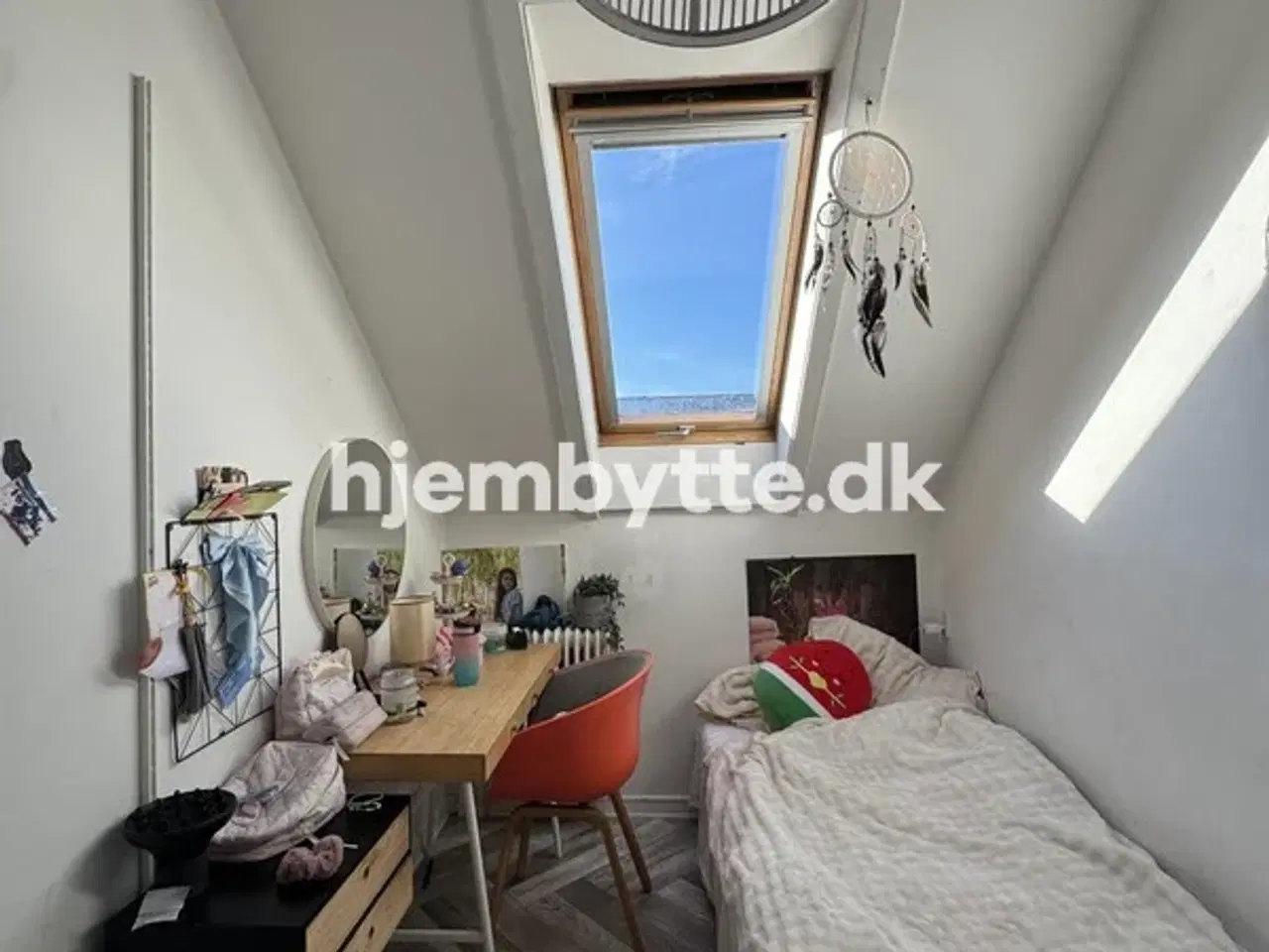 Billede 5 - Hjembytte - Buskager