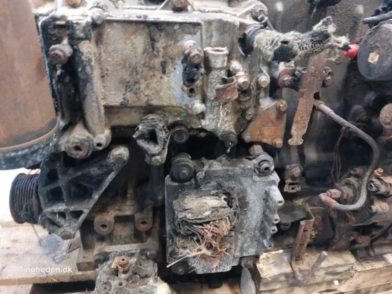 Billede 16 - JCB 531-70 Motor