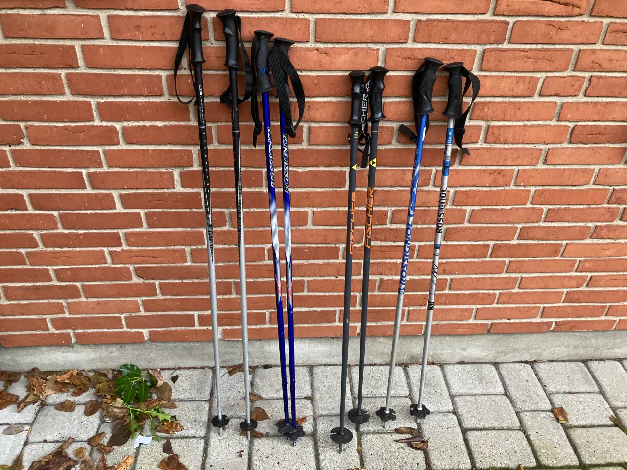 Billede 1 - SALOMON, ROSSIGNOL & HEAD skistave