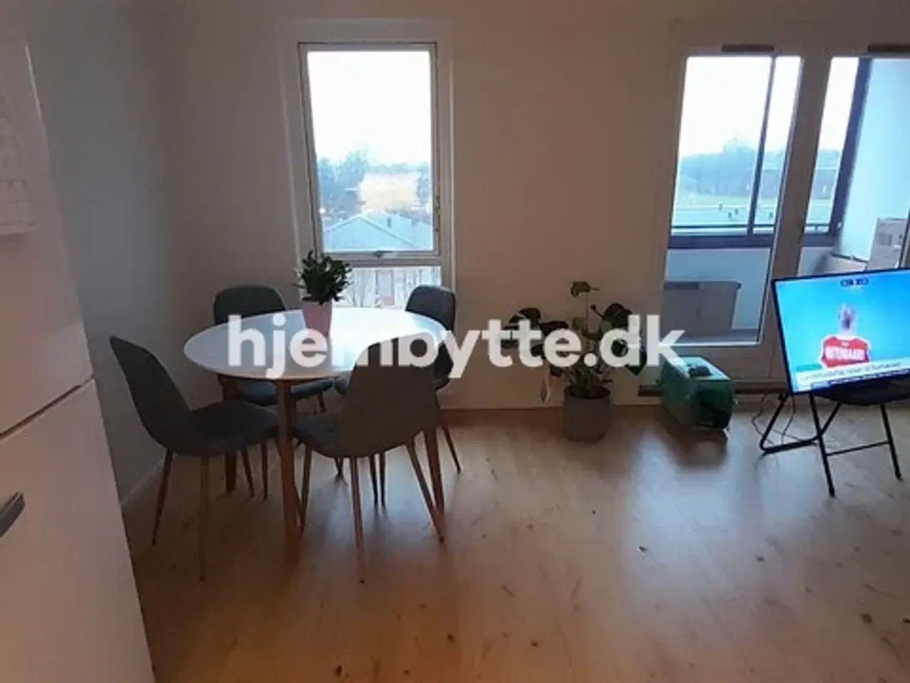 Billede 8 - Hjembytte - Sennepshaven