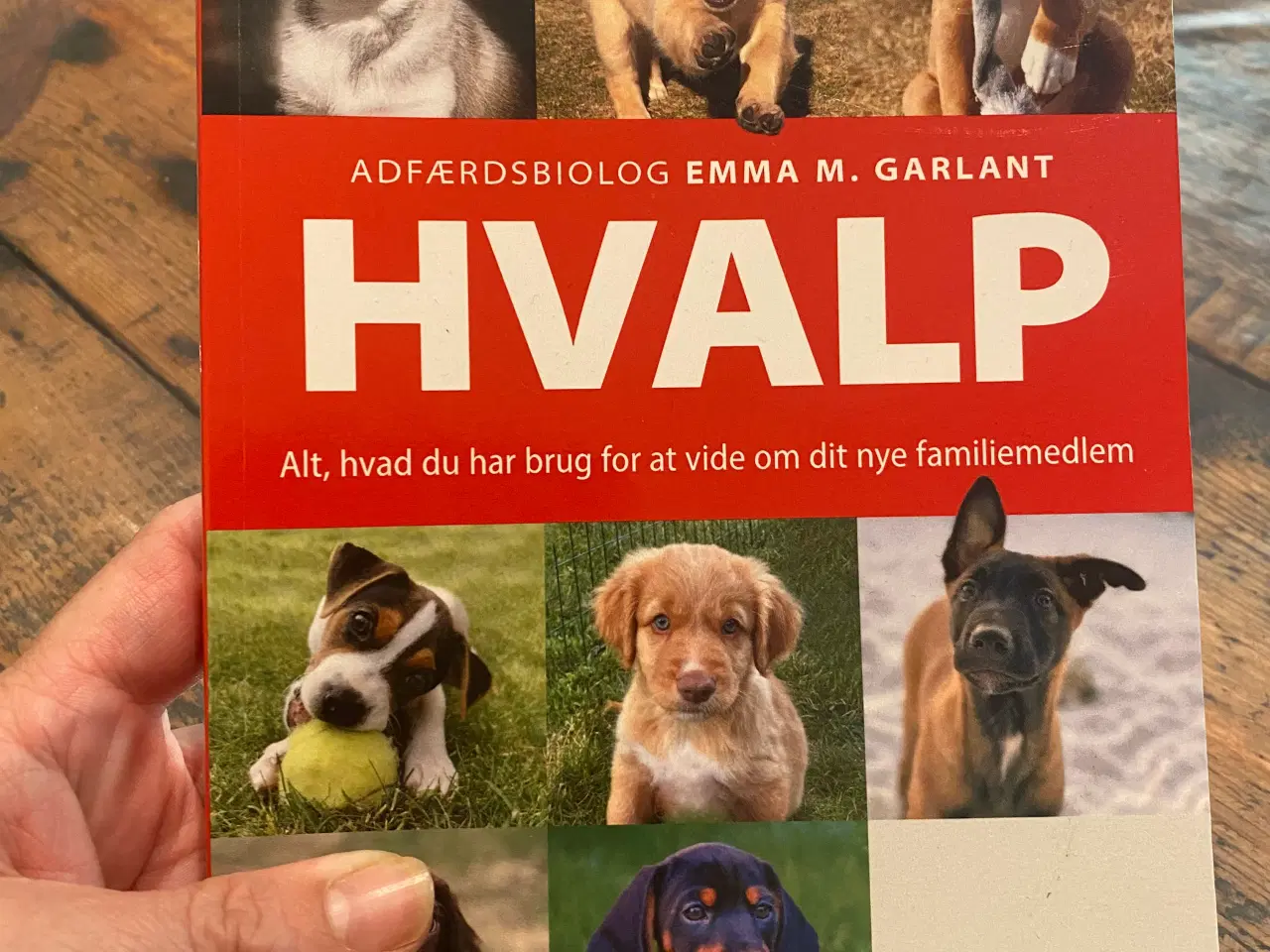 Billede 1 - Bog om Hvalpe