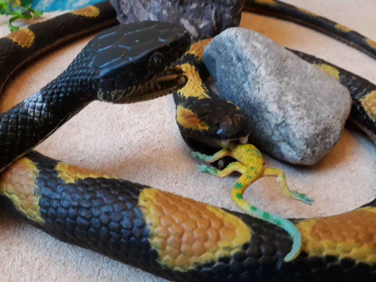 Billede 10 - 2 Slanger med krybdyr