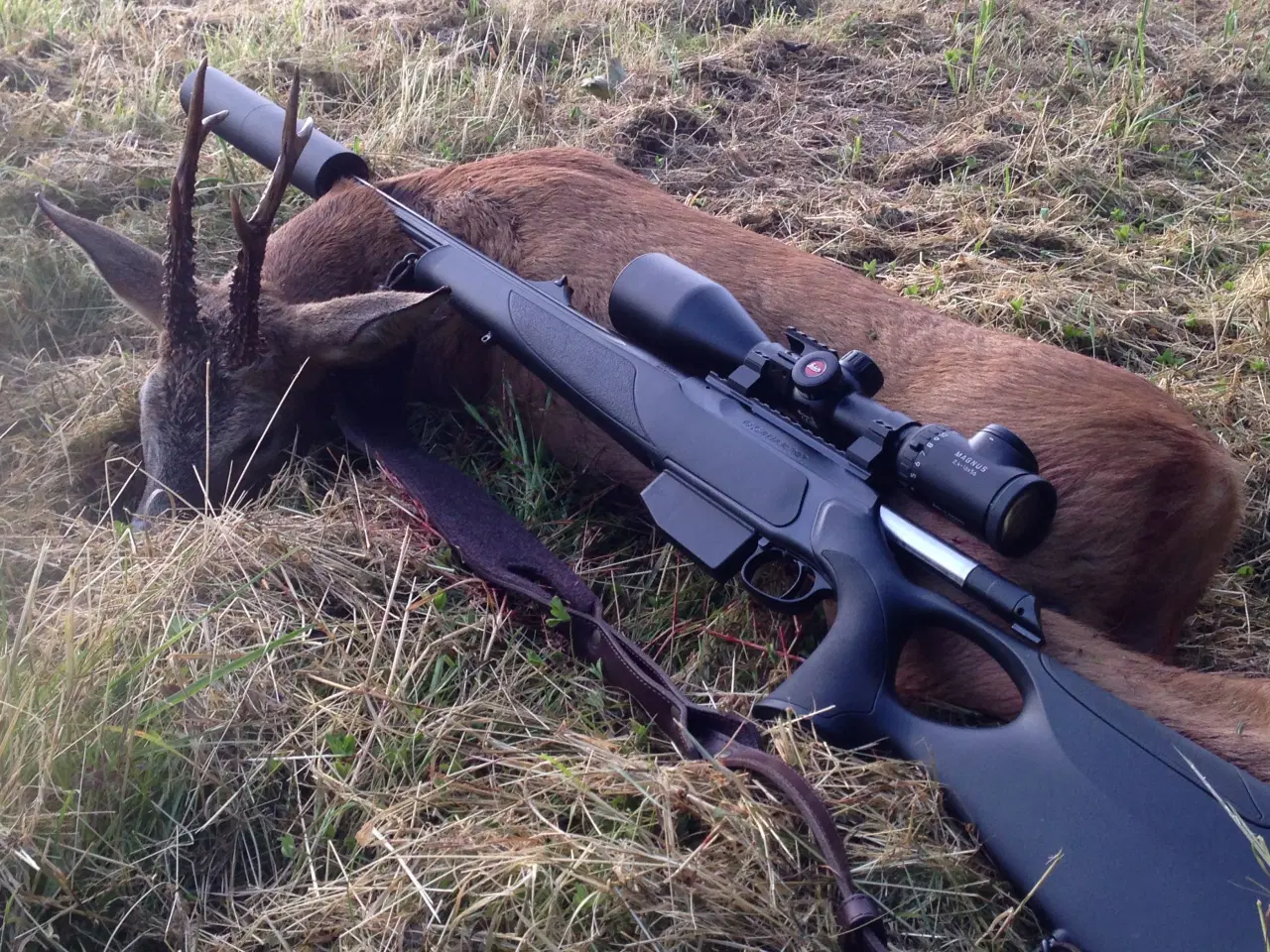 Billede 3 - Sauer 202 XT Syncro 