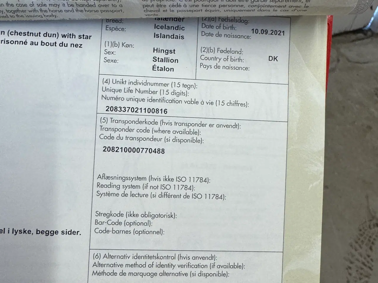 Billede 8 - Islænder