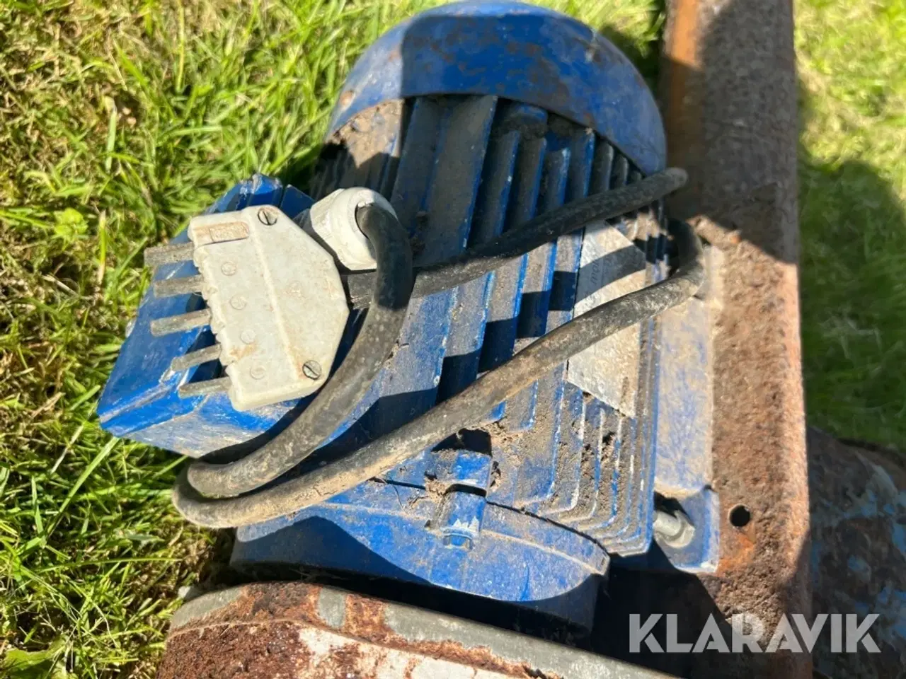 Billede 10 - Kornsnegl Kongskilde
