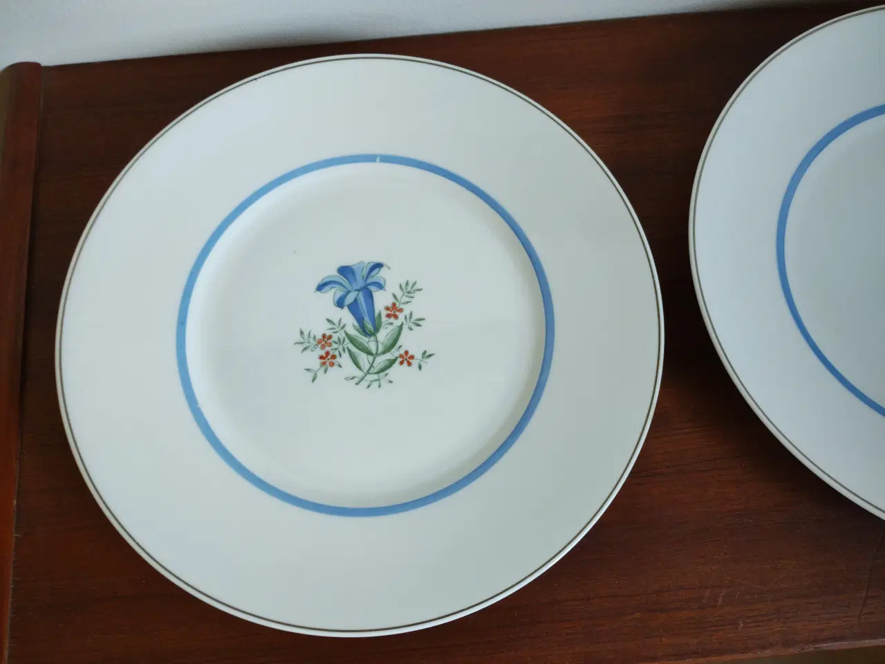 Billede 1 - Royal Copenhagen Blå Gentiana tallerkner