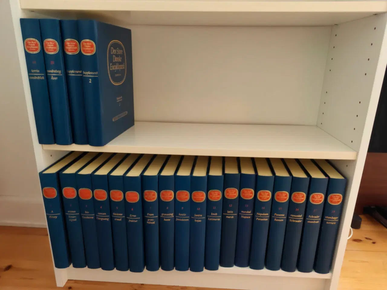 Billede 1 - Den Store Danske Encyklopædi