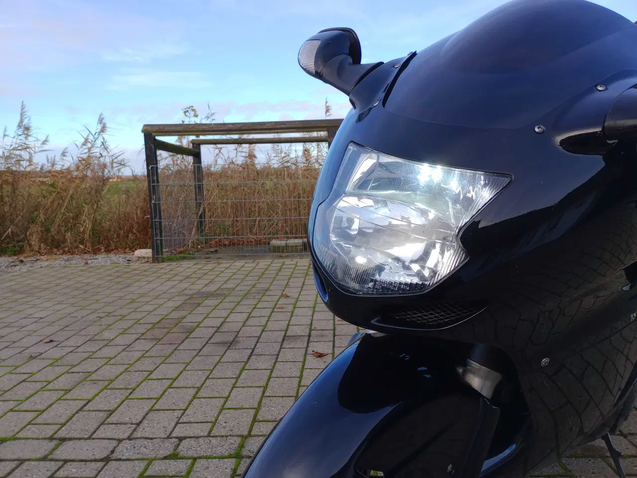 Billede 3 - Blackbird Cbr 1100