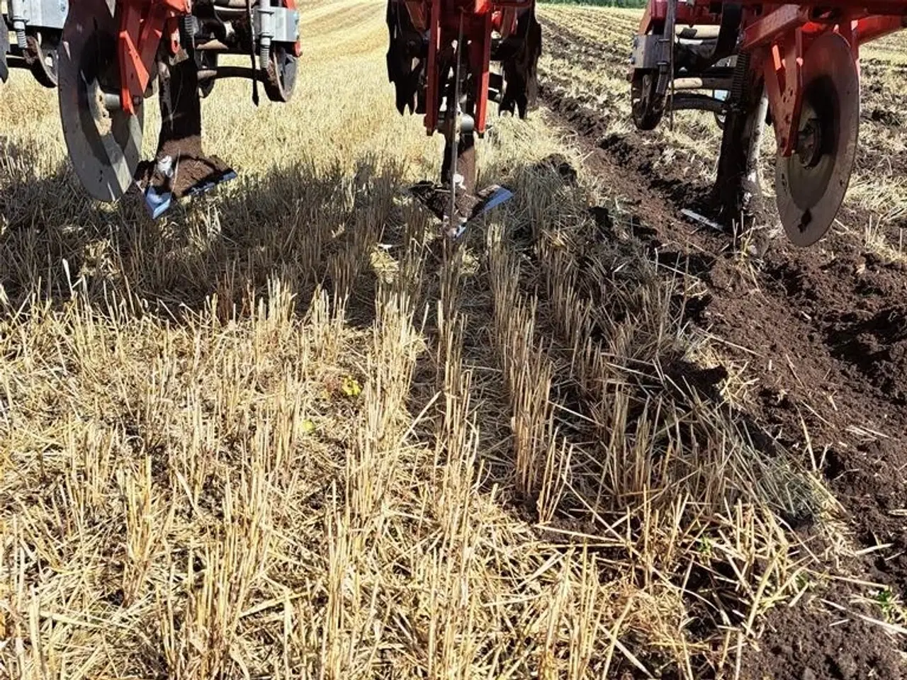 Billede 4 - Evers 9,0 Meter 12 rækker placering på 75cm. med tryktromle