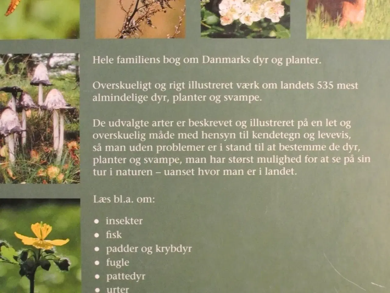 Billede 3 - danmarks dyr og planter, af mogens andersen og jon