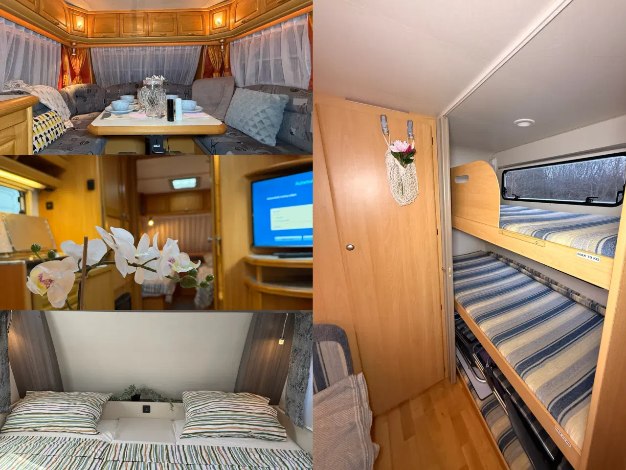 Billede 2 - Udlejning af forskellige modeller af campingvogne