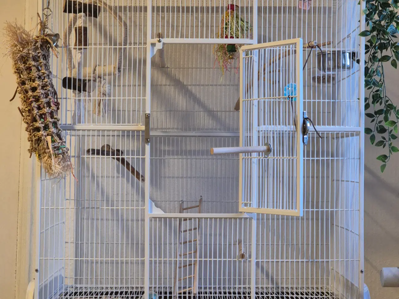 Billede 2 - Fuglebur