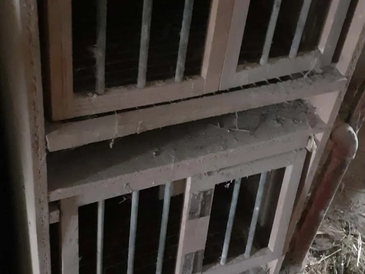 Billede 2 - vandtrug-due reder,udstillings byr