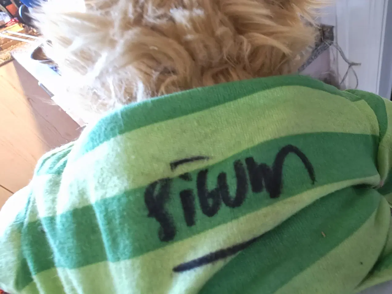 Billede 4 - Sigurd Barrett Snapper Bamse