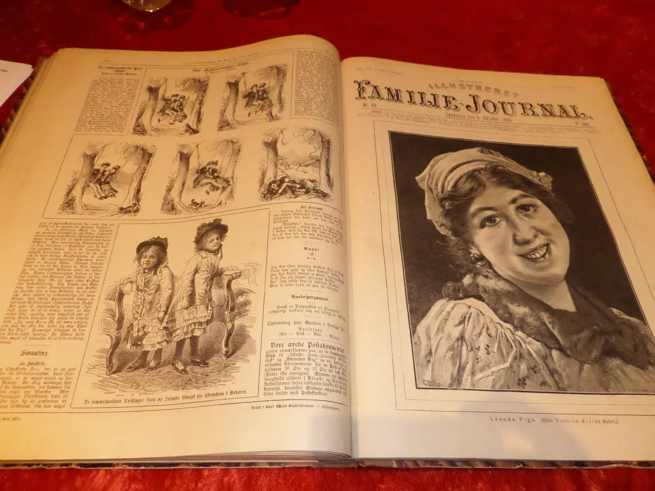 Billede 3 -  Indbundet Familie Journal årgang 1895/1910 