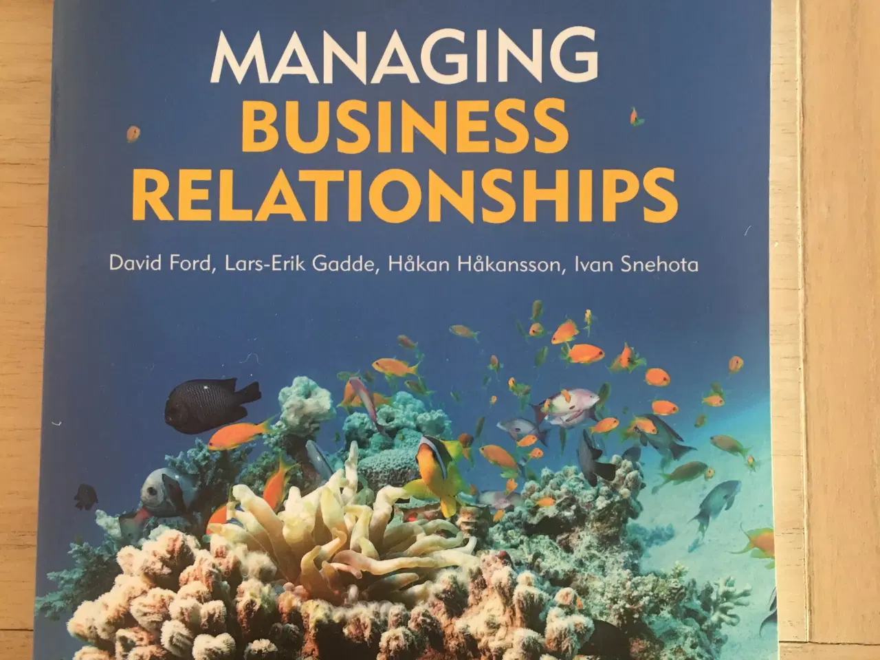 Billede 1 - Managing Business Relationships