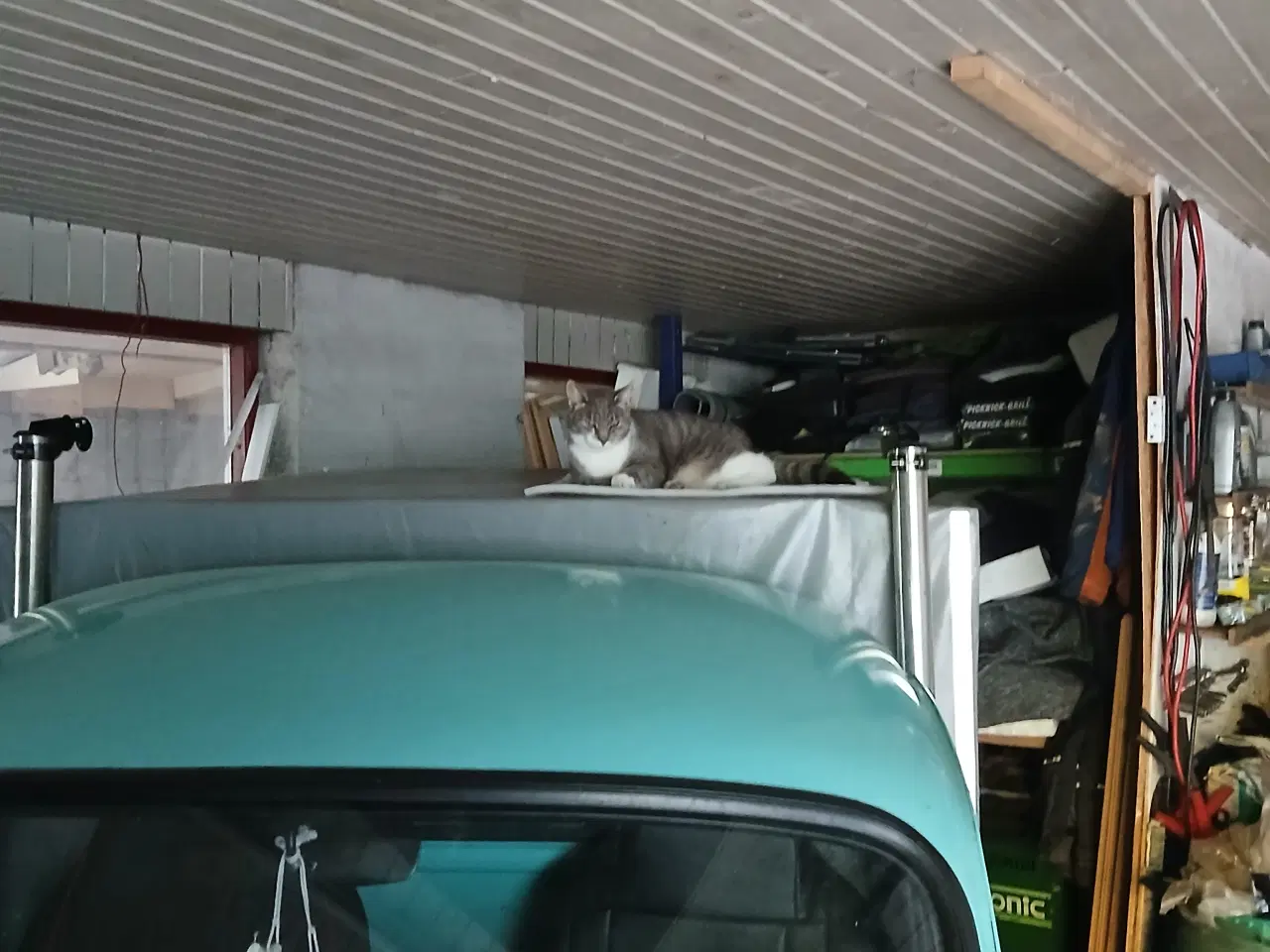 Billede 9 - morris 1000 pick up