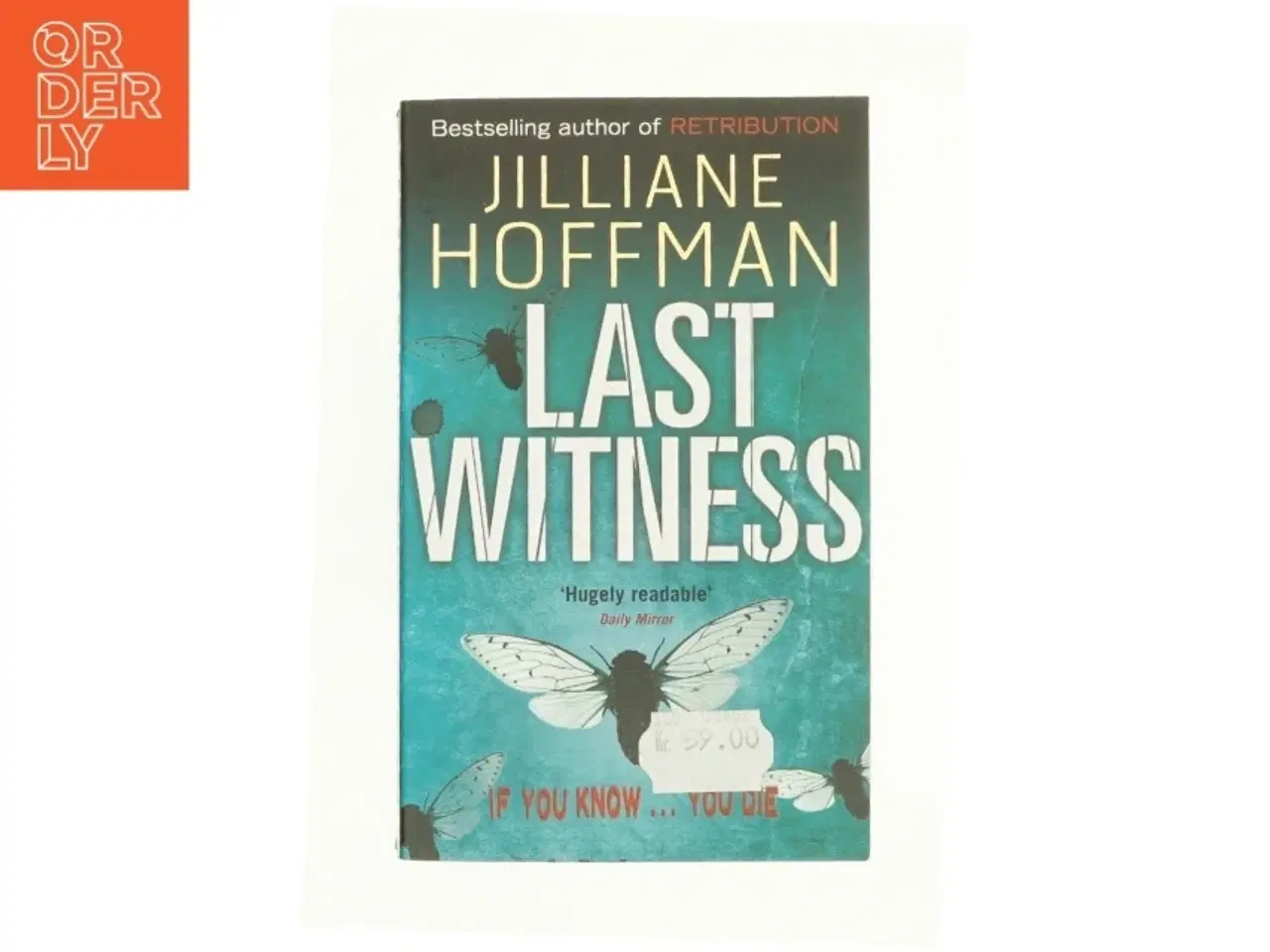 Billede 1 - Last witness af Jilliane Hoffman (Bog)