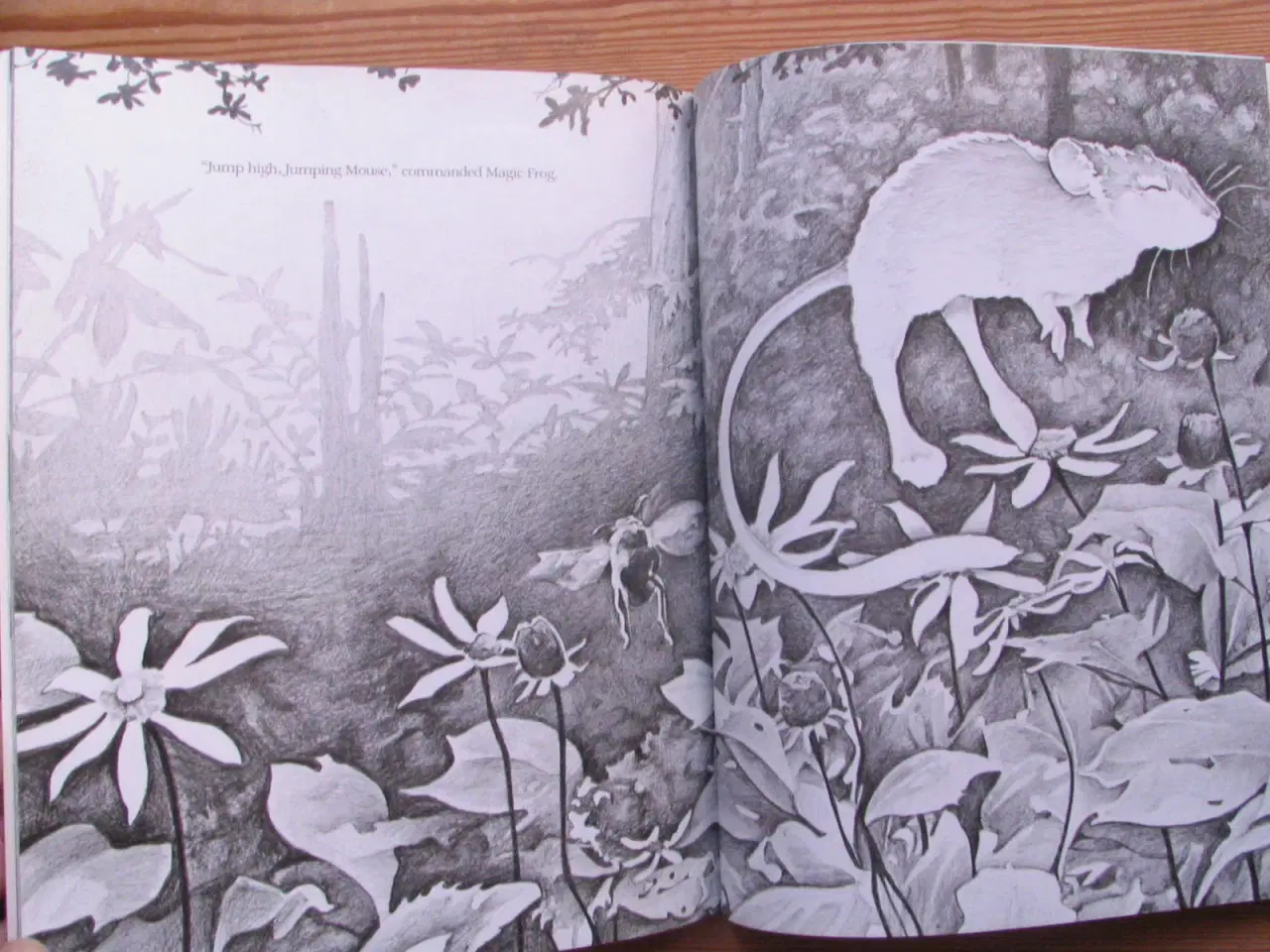 Billede 7 - The story of Jumping Mouse