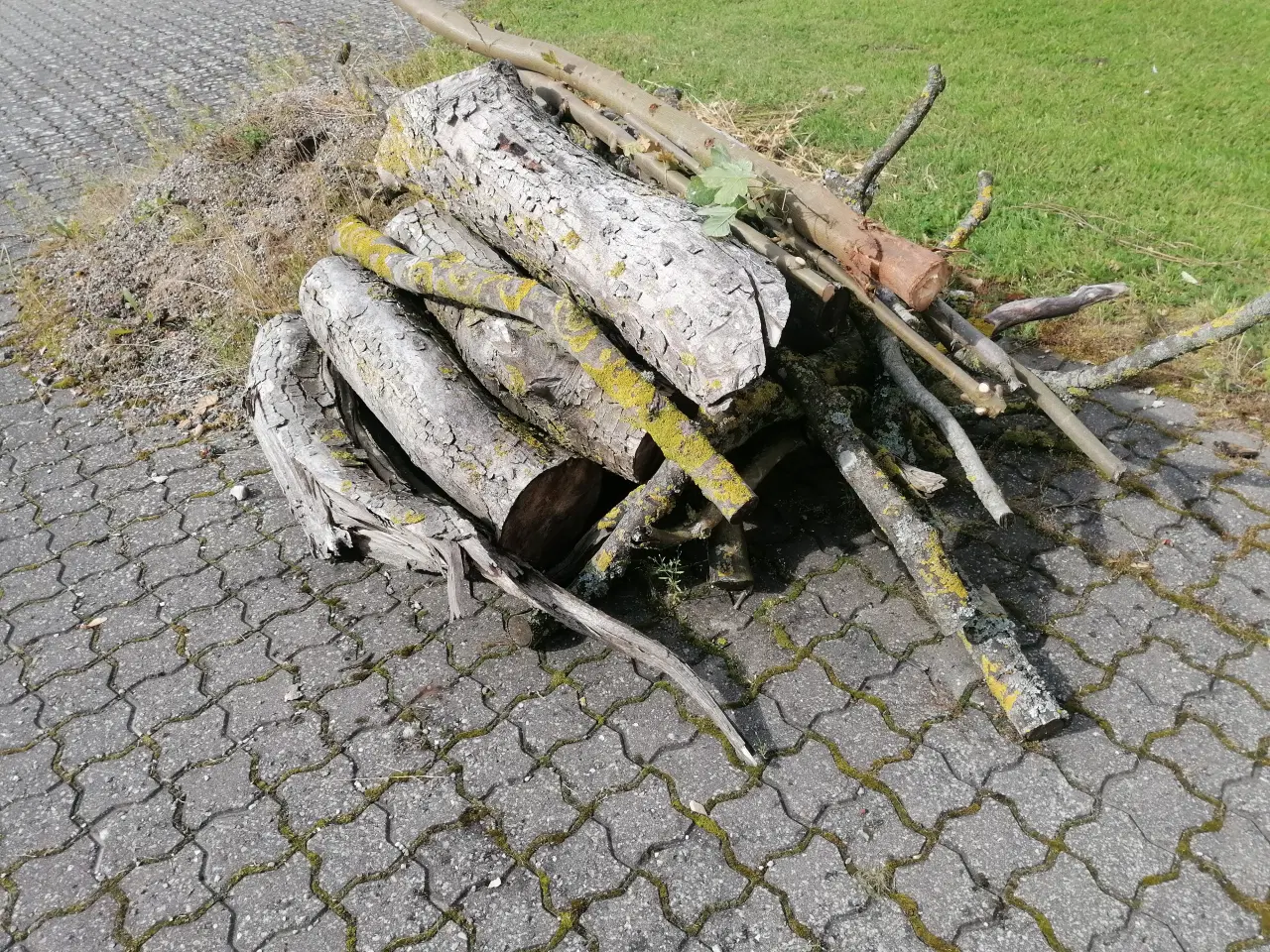 Billede 1 - Blandet Løvtræ op til ca. Ø20 cm.