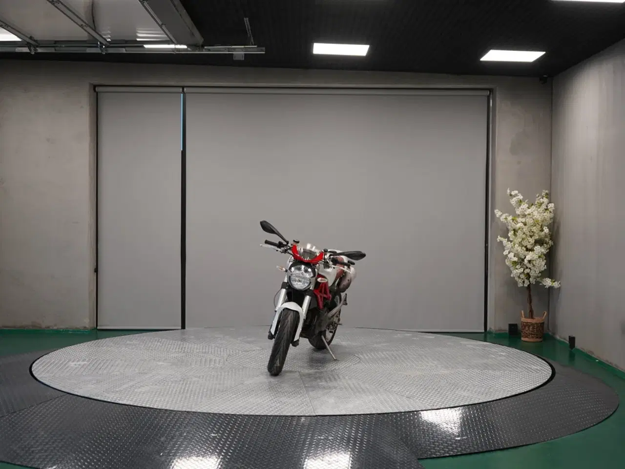 Billede 8 - DUCATI MONSTER 1100/1100S