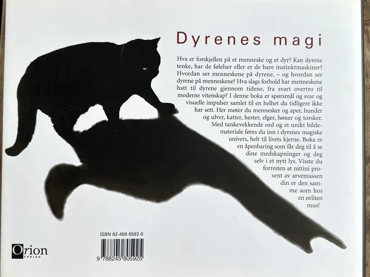Billede 2 - Dyrenes Magi, Pål Hermansen – Norsk