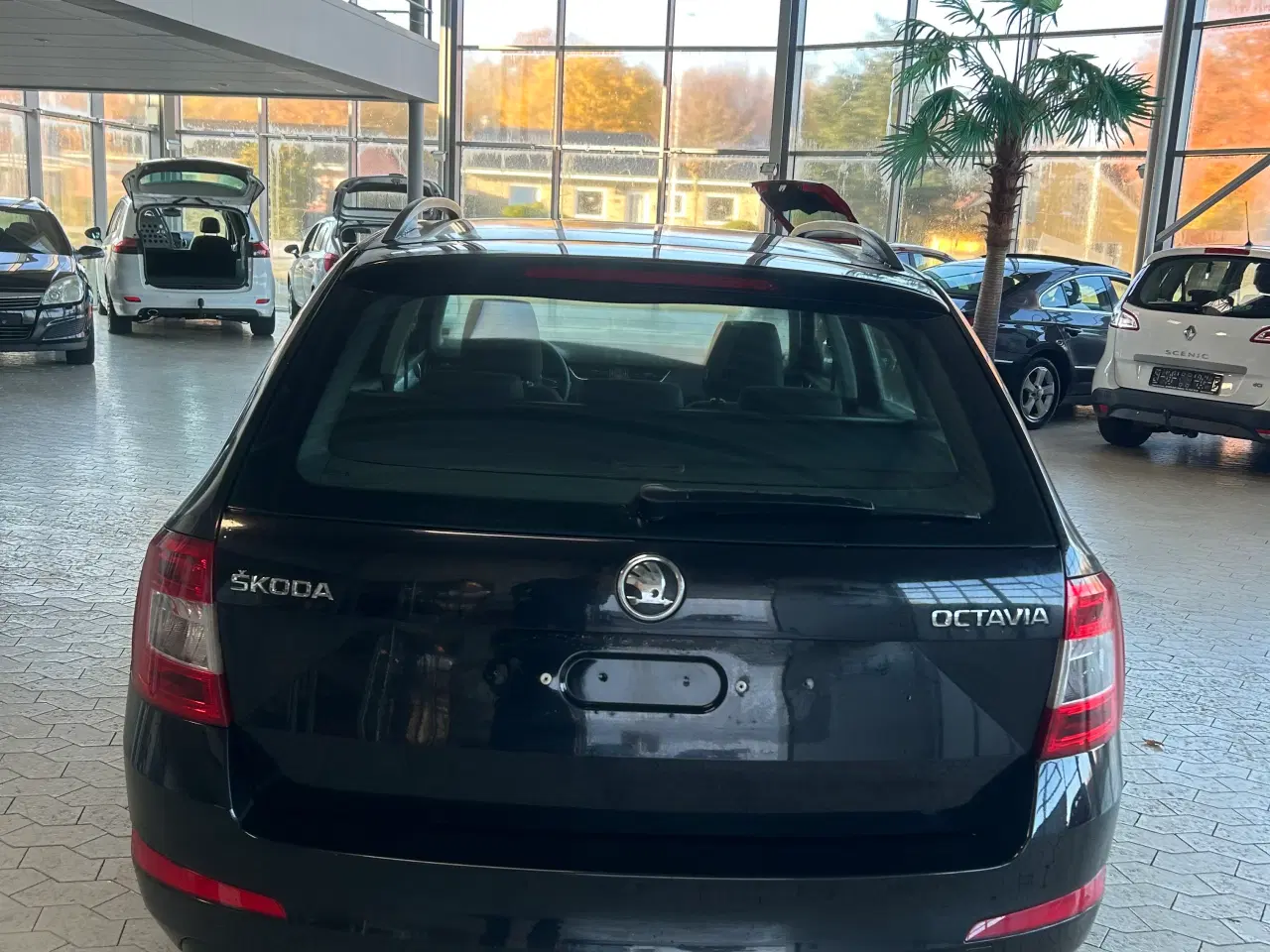 Billede 5 - Flot Skoda Octavia