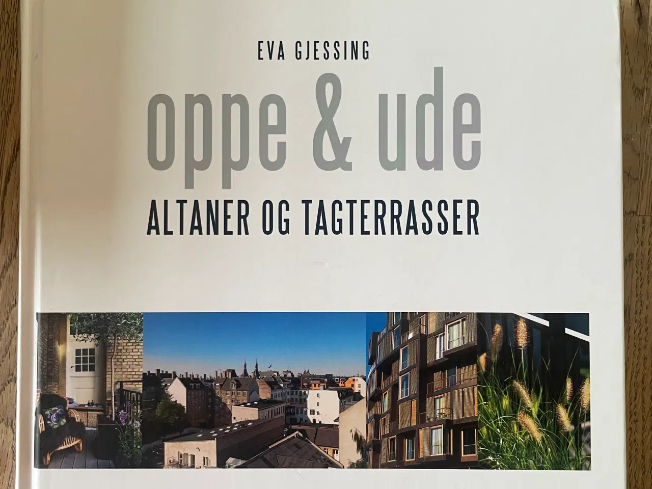Billede 1 - oppe & ude Altaner og tagterrasser,  Eva Gjessing