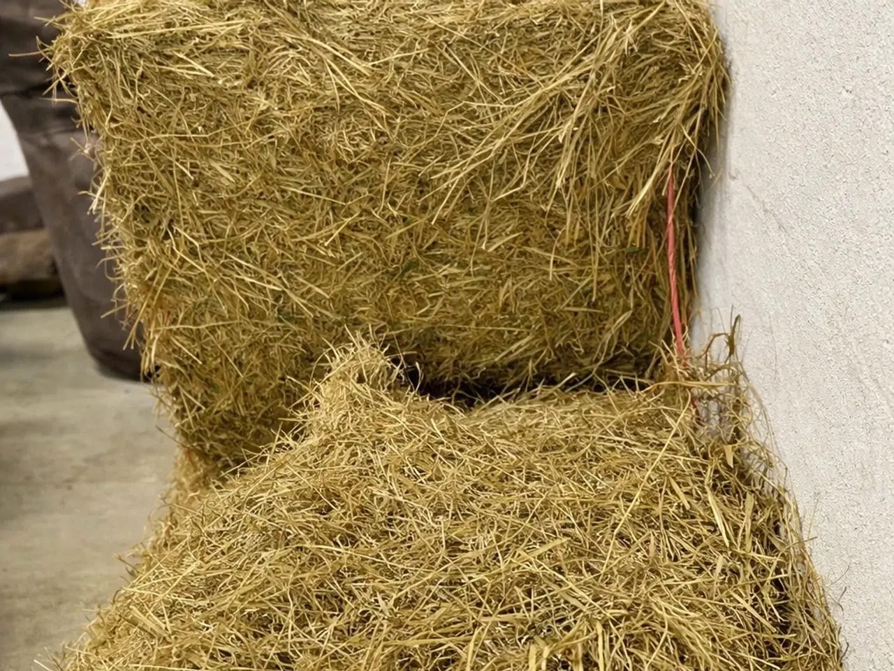 Billede 2 - Heste Wrap Minibig m. Analyse