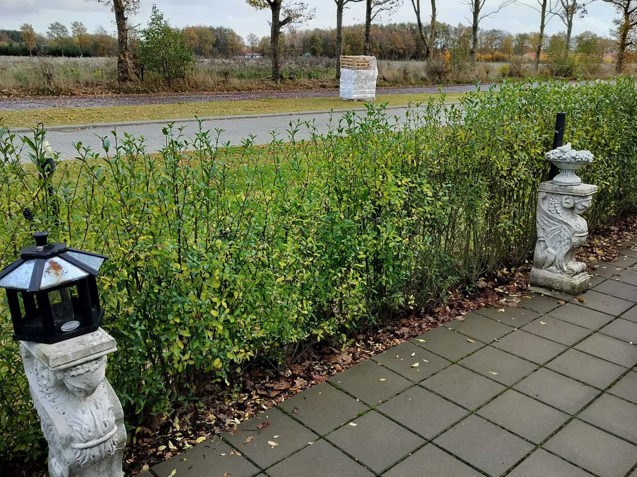 Billede 1 - Have figurer sælges .