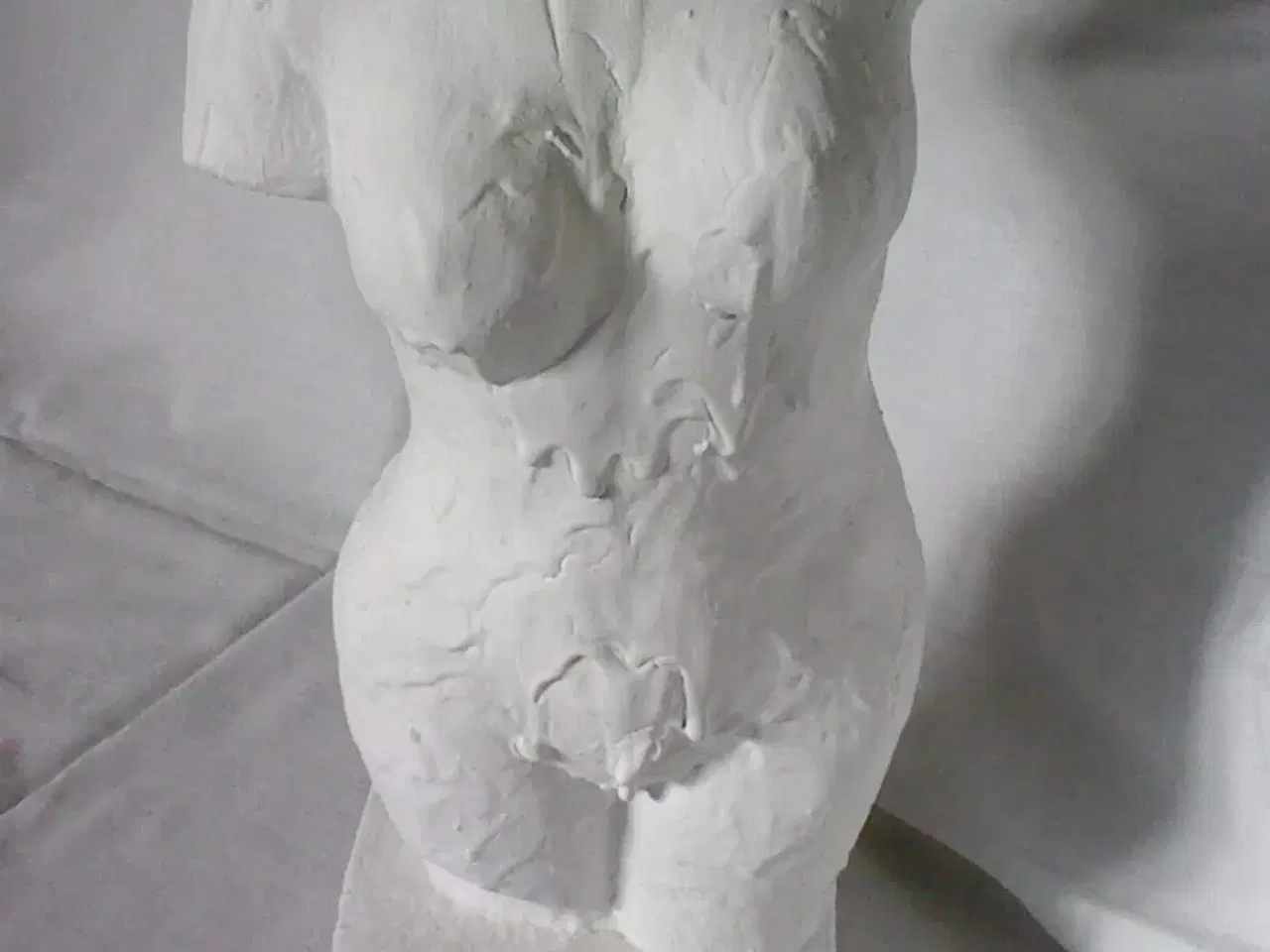 Billede 1 - Torso